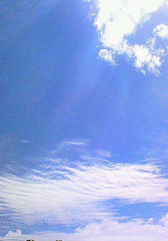 e0141648_1105760.jpg