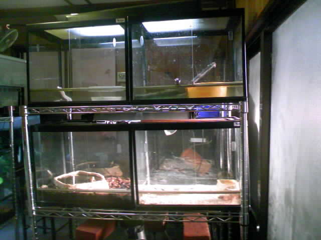 b0121850_17134856.jpg