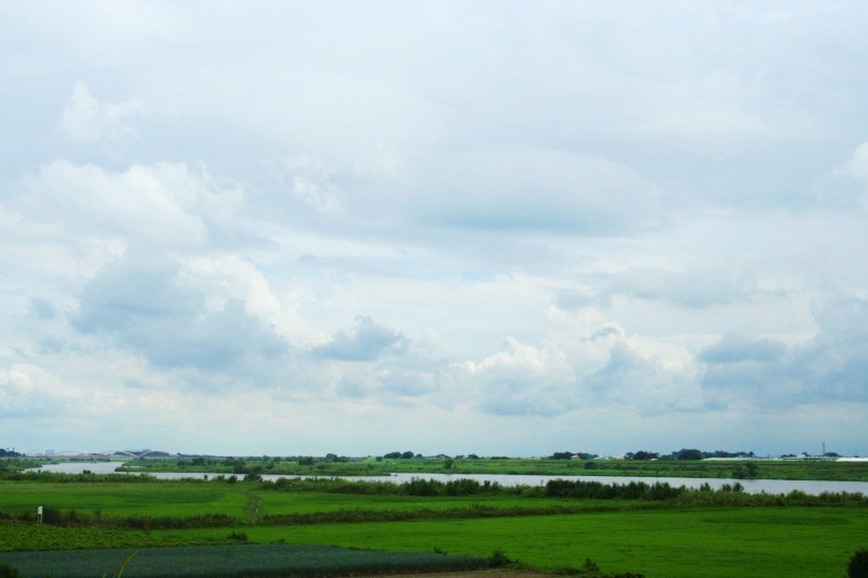 e0126350_114207.jpg
