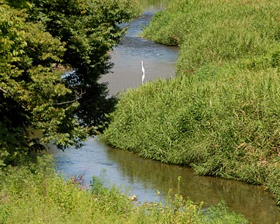 e0035757_23112.jpg