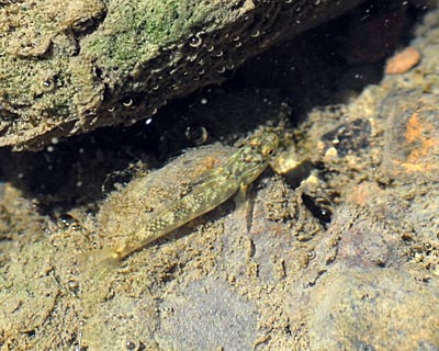 e0035757_236445.jpg