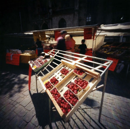 ネルトリンゲンの聖ゲオルク教会 Nördlingen, Germany Pinhole Photography_f0117059_18251574.jpg