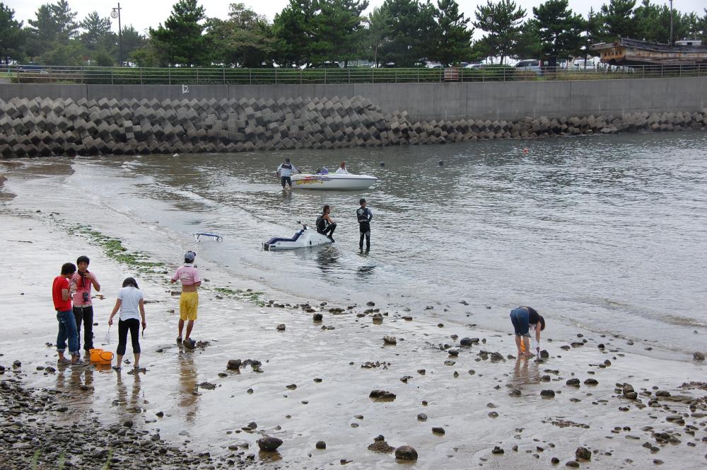 海辺の環境学習・エコツアー指導者育成講座サポート第2日_c0108460_23241239.jpg