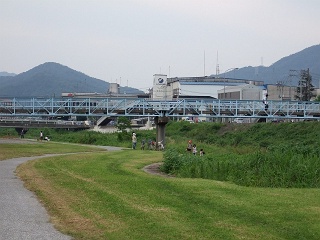 ウォーキング瀬野川河川敷⑥_b0095061_1331012.jpg