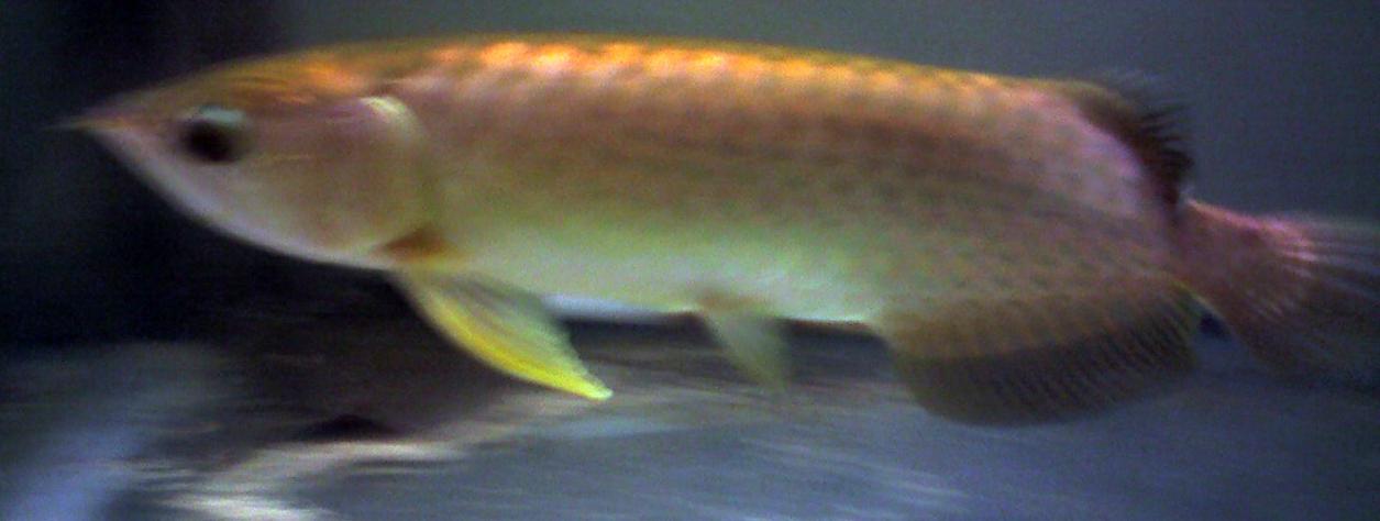 b0064365_16849.jpg