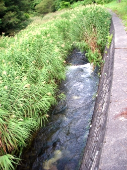 b0150670_1715581.jpg