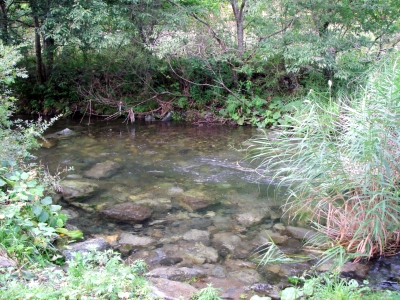 b0150670_17161456.jpg