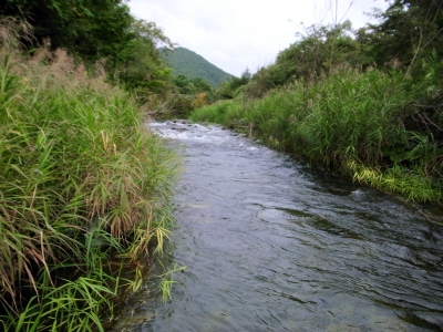 b0150670_17485633.jpg