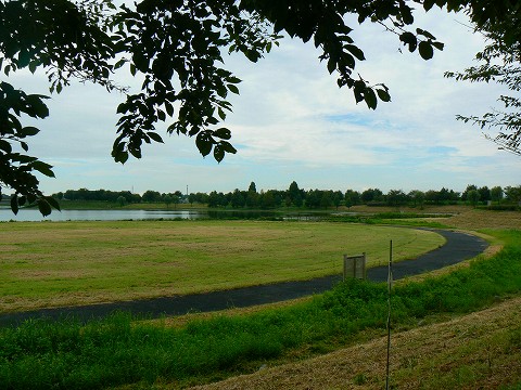 Nike+ THE HUMAN RACE 10K_d0010073_15314469.jpg