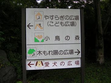 f0164374_20574169.jpg
