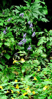 f0083977_23503916.jpg