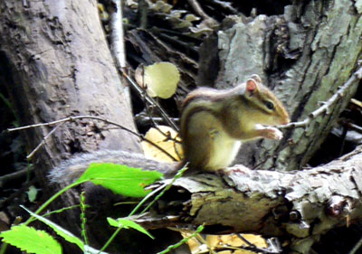 f0083977_23531013.jpg