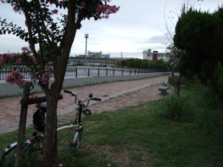 久々にいい天気！だが．．．_e0138081_17304474.jpg