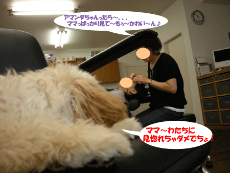 e0066883_21475916.gif