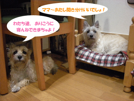 e0066883_220159.gif