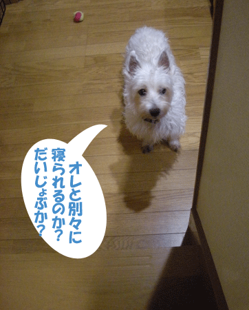 e0066883_2205838.gif