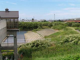 逆川(さかさがわ)_f0078286_12465712.jpg