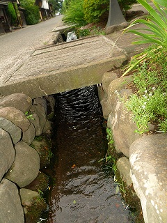 大田区休養村とうぶと海野宿_e0008887_22511291.jpg