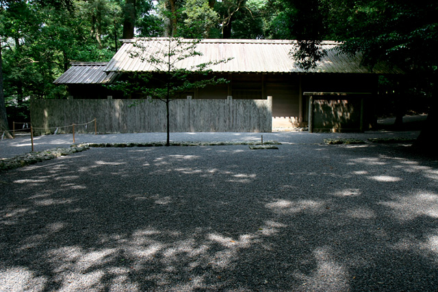 b0067789_82351.jpg