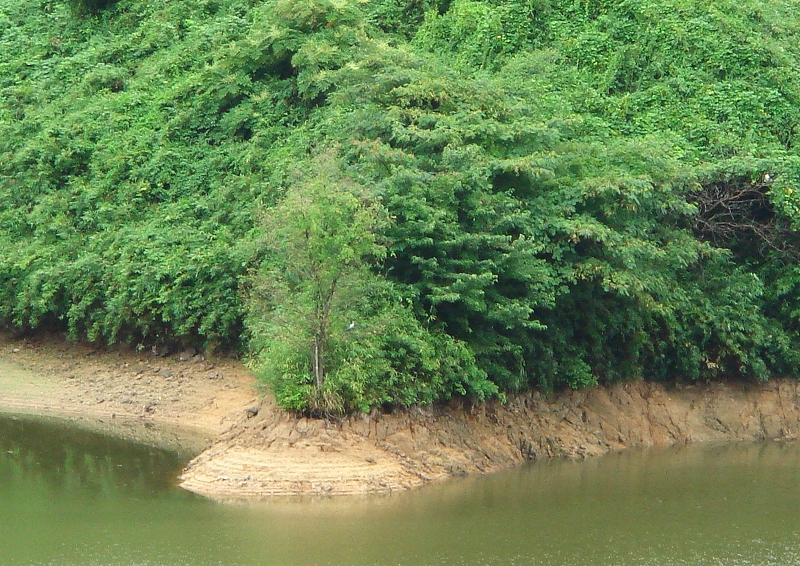 鳥のいる風景（爆）_f0144289_10484074.jpg