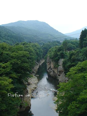 d0087503_11243661.jpg