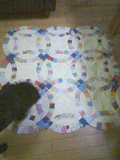 c0023406_20442430.jpg