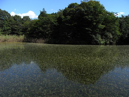 d0010008_0133238.jpg