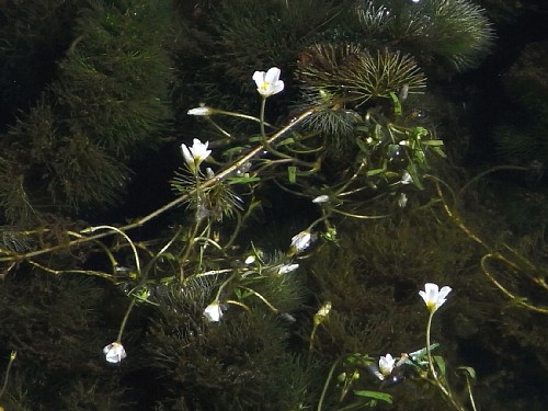 d0010008_0134231.jpg