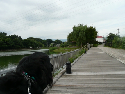 c0097309_21441750.jpg