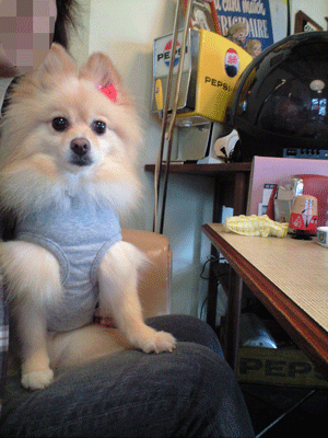 b0075318_2251292.gif