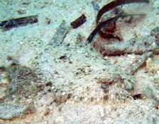 a0043520_11214722.jpg