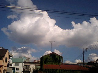e0147221_015117.jpg