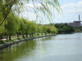 b0000829_18211282.jpg