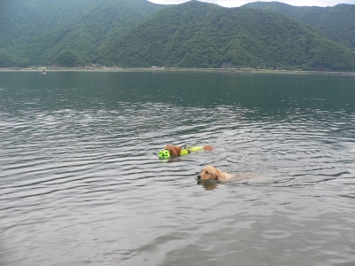 今年最後の（？）水犬うず_f0118135_23211090.jpg