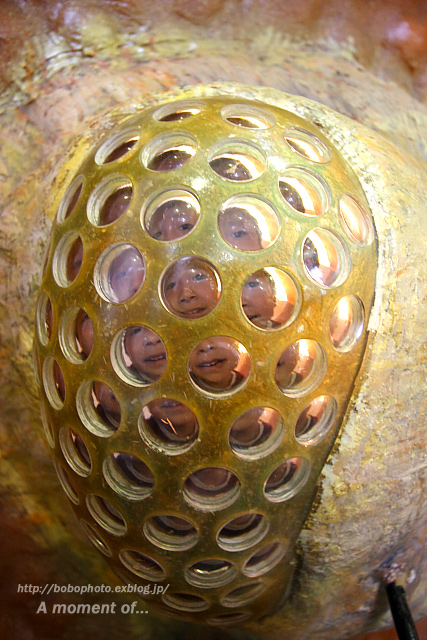 d0143741_1385655.jpg