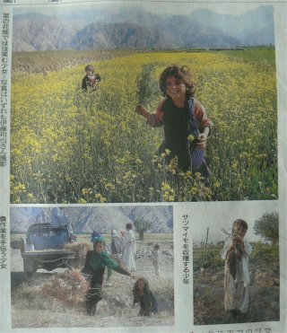 アフガニスタンで蒔かれた種_f0019247_23302932.jpg