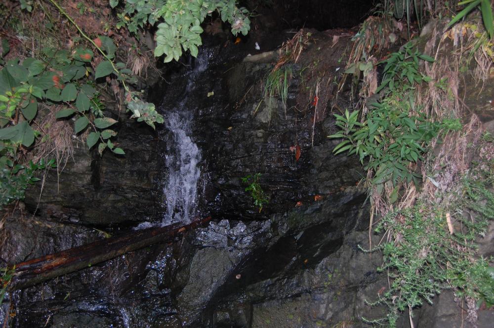 c0108460_20524439.jpg