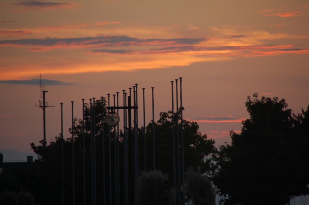 c0108460_2053246.jpg