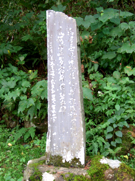 d0080566_1014834.jpg