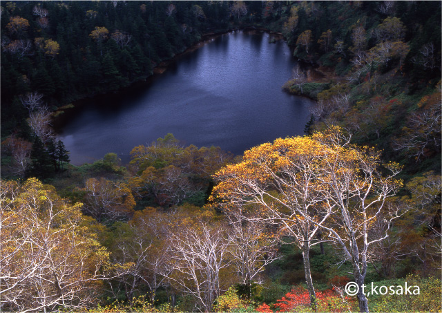 沼畔の秋_a0104067_22115023.jpg