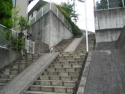 e0106372_2134505.jpg