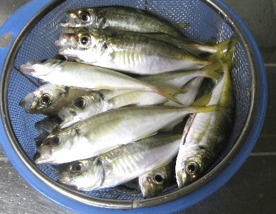 f0003283_23225437.jpg