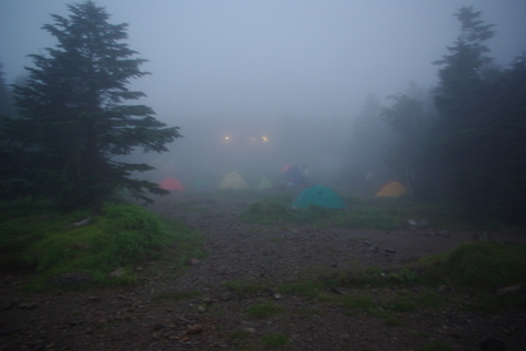 南アルプス登山　その9 聖平小屋～実家へ_b0118097_1553164.jpg