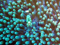 e0023100_20291235.jpg