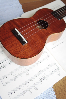 Ukulele_e0138008_1691589.jpg