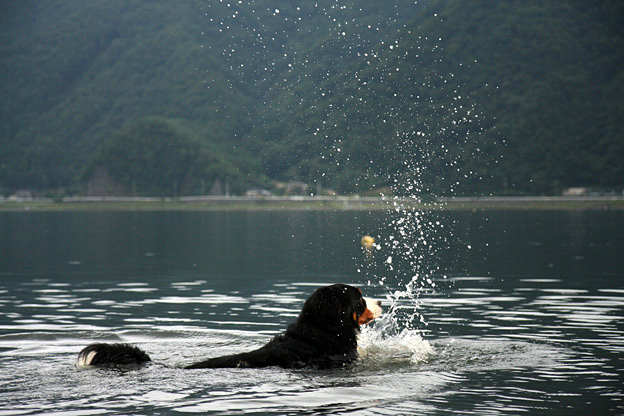 川がダメだなら湖だ！_f0137508_1753970.jpg