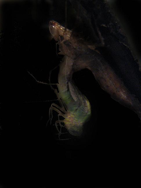 f0155808_14292173.jpg