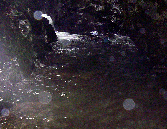08.09.02(火) メロンのキモチ_a0062810_2027416.jpg