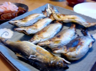 f0043911_1185360.jpg