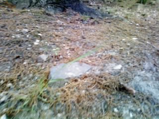 e0119017_13509.jpg
